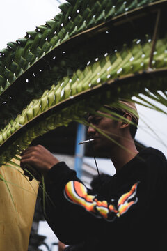 Balinese man in traditional headband weaving palm leaves for ceremony