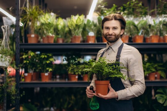 Friendly gardener holding potted plant in plant shop