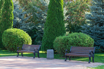 Fototapeta premium A couple of benches in a green park
