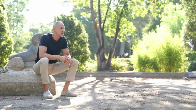 Sunlight filters through tall green trees. Man sits calmly on a stone bench. He gazes thoughtfully toward the distance. Doves wander nearby on the dirt path