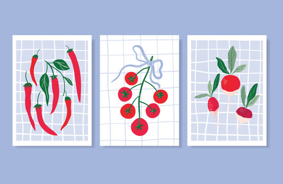 Spring and summer posters set with vegetables, chili pepper, tomatoes and radishes, modern coquette backgrounds, vector design