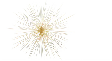 Fototapeta premium Golden burst of light with radiating lines isolated on transparent background