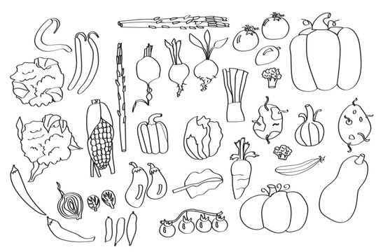 black and white vegetable collection