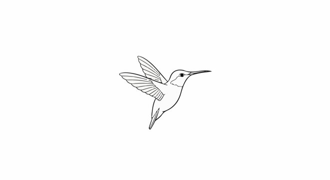 Line art of a hummingbird in flight, wings spread, on white
