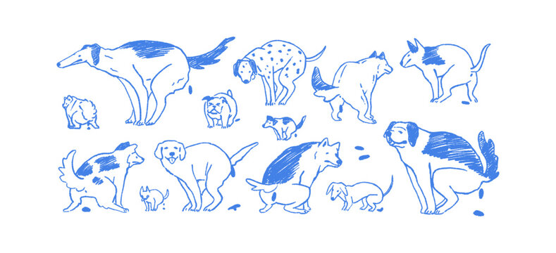 Doodle set of pooping dogs. Cute pups sit in funny poses and have a toilet on daily walk. Sketches of comic pets. Humorous puppies. Hands drawn outline isolated vector illustrations on white