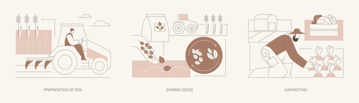 Cultivation of crops isolated cartoon vector illustrations se
