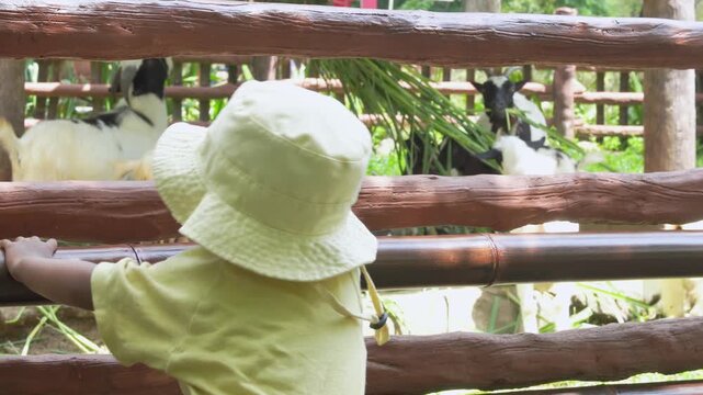 Adorable cute toddler girl feeding little goats and sheeps on a kids farm. Beautiful baby child petting animals in the zoo. Excited and happy girl on family weekend.