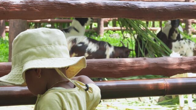 Adorable cute toddler girl feeding little goats and sheeps on a kids farm. Beautiful baby child petting animals in the zoo. Excited and happy girl on family weekend.