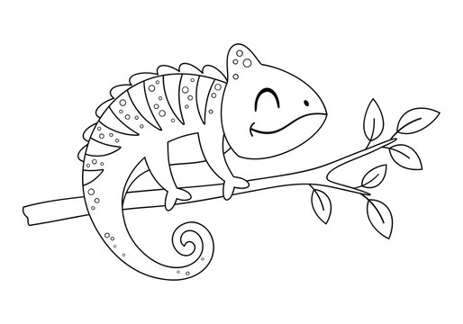 Cute chameleon coloring book, Jungle animal coloring page for kids and adults, Cartoon character outline, Doodle style, Kids vector hand drawn graphic.