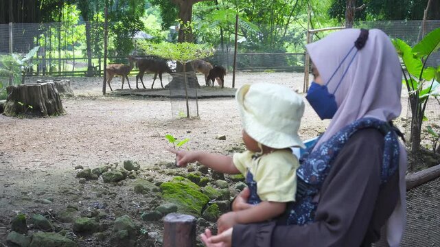 Woman at a zoo with child, observing animals behind a fence. Perfect for illustrating family outings, wildlife conservation, and education.