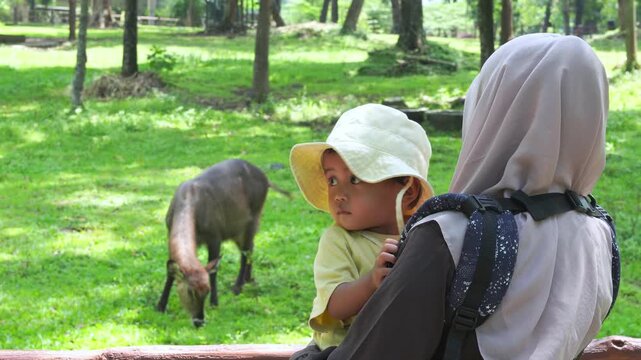 Woman at a zoo with child, observing animals behind a fence. Perfect for illustrating family outings, wildlife conservation, and education.