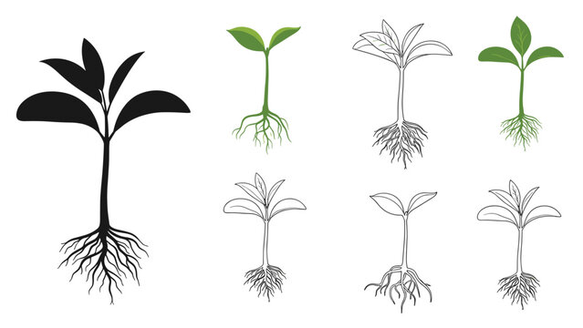 Growth stages and plant sprout icons collection shows various young seedlings with their roots in silhouette and line art styles.