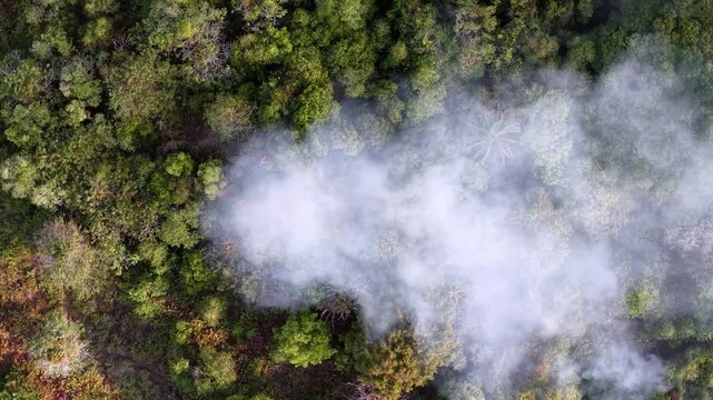 Drone top down shot of smoke from a peatland fire spreading through dense wetland forest.