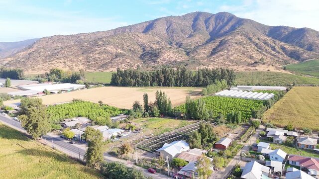 Roofs of country houses, tall green trees, plantations in Pichidegua and green hills, in the Bernardo O'Higgins region, country of Chile