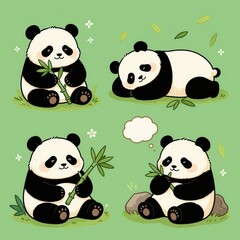 Fototapeta premium Cute Cartoon Panda Bear Collection in Different Poses Eating Bamboo Leaves Isolated on Green Background for Web Design and Illustration