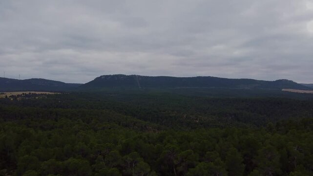 Wide 4K aerial panorama of a lush Mediterranean pine forest in Spain. High-altitude drone shot featuring dense green woodland with distant mountains in Castilla-La Mancha.