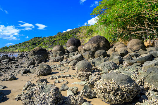 Koutu boulders spherical rocks on new zealand beach