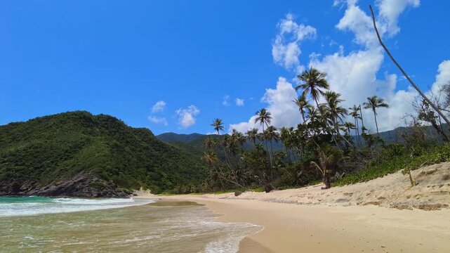 Panoramic view of the large, secluded main beach in Choroni on a sunny day along the coast of Aragua, Venezuela, featuring palm trees and surrounded by mountains covered in lush vegetation