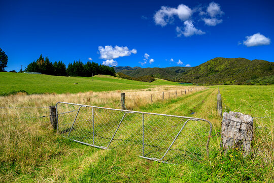 Closed Gate to a unpaved farm road leading into a green farm