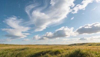 Obraz premium Swaying tall grasses forming low rolling hills on prairie, sunlight with cirrus and cumulus clouds