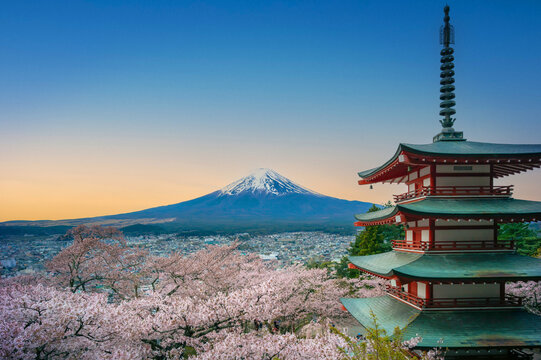 桜　富士山　日本