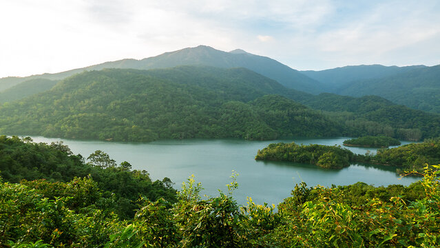 Subtropical rain forests of Hong Kong Island, South China Sea bay
