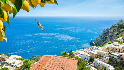 Aerial view of Positano town with colorful houses on Amalfi coast in Italy. Bright yellow lemons on tree branch frame sunny Mediterranean sea landscape. Flying seagull over Positano in summer day © IgorZh