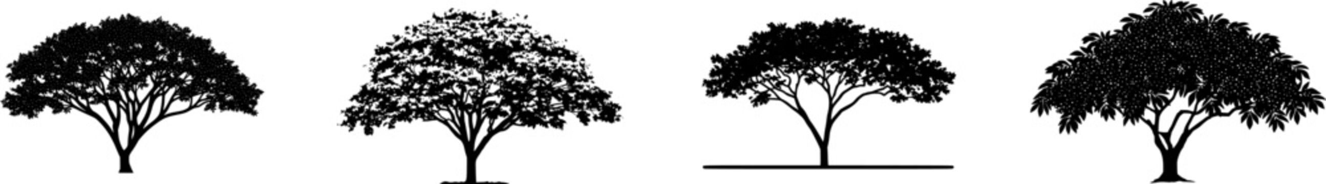 A solitary Elderberry tree stands isolated on a pure white background, its pinnate green leaves and large umbels of tiny dark purple berries captured with bright studio lighting in an 8k ultra-sharp