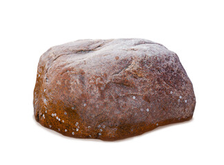 A wet granite boulder with small barnacles on white background. © fotomaster
