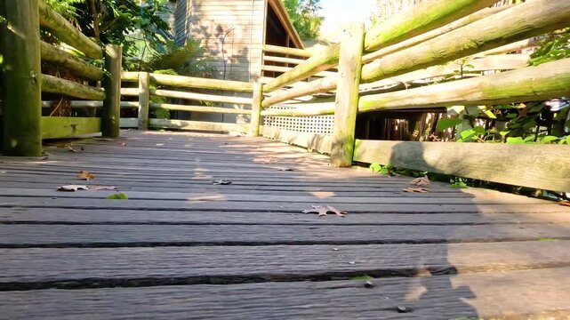 Wooden boardwalk path winds through lush green foliage with sun dappled light.