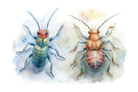 Watercolor Tiny Insect Clipart, Springtail Bug Illustration, Nature Micro Wildlife Art
