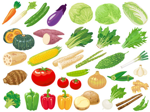 野菜のイラストセット