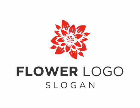 Logo about Flower on a white background. created using the CorelDraw application.