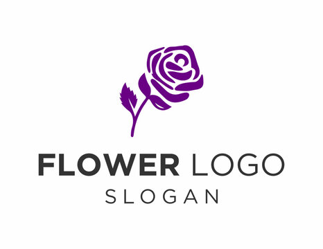 Logo about Flower on a white background. created using the CorelDraw application.