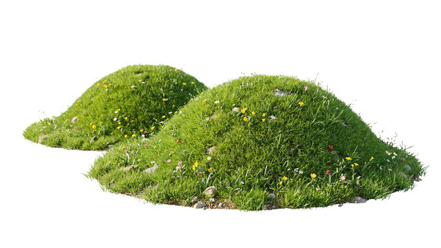 Two grassy mounds with wildflowers ideal for scene composition on transparent background