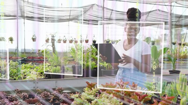 Woman tapping tablet in greenhouse, activating animated overlays while inspecting succulent health