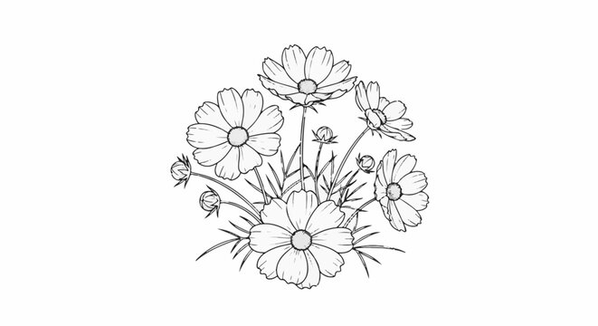 A delicate sketch of blooming daisies with buds and foliage
