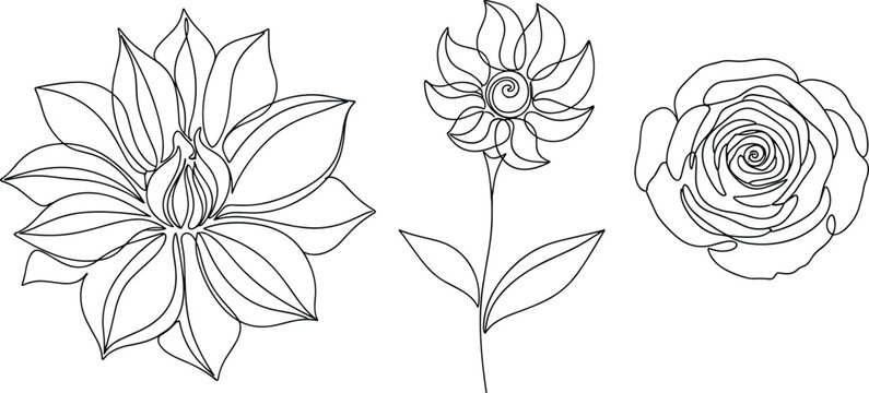 Flower line art set, floral outline illustration, hand drawn flowers, botanical sketch, rose outline, vector floral collection design