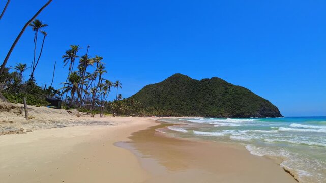 Panoramic view of the vast Choroni Beach on a sunny day, deserted with weathered palm trees and lush mountains in the background, Aragua, Venezuela