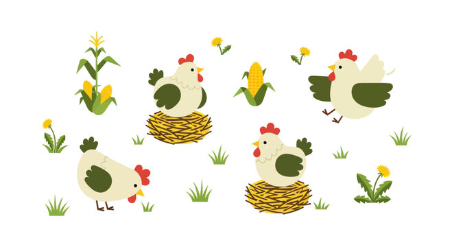 Cute cartoon chickens and corn on a white background, farm illustration
