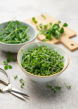 Fresh green microgreens in bowls for healthy eating