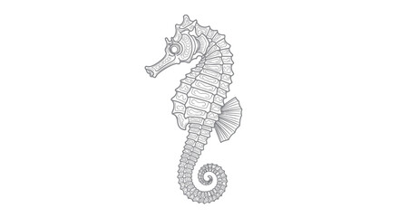Detailed seahorse line art illustration for coloring book and creative designs. © SaljuCreative