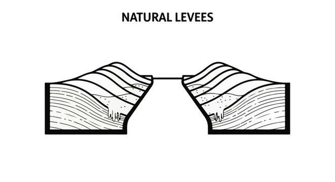 Cross-section illustration of natural levees formed by sediment deposition along a waterway