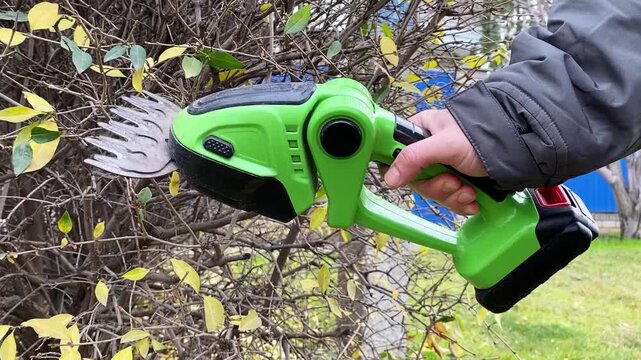 precise trimming of green bush with manual hedge trimmer controlled cutting motion outdoor gardening maintenance shaping plants natural landscaping close detailed shot