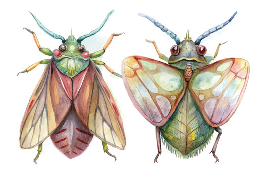 Hand-Painted Treehopper Watercolor, Exotic Insect Clipart, Isolated Vector Illustration