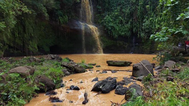 Small waterfall cascades into muddy pool surrounded by lush greenery. Water flows over dark rocks into brownish water. Jungle vegetation thrives along riverbanks and waterfall edges