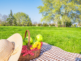 Naklejka premium Picnic on green lawn in sunny spring park
