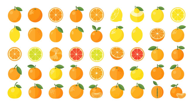 Colorful Citrus Fruits Assortment: Oranges, Lemons, Grapefruits, Limes - Flat Design