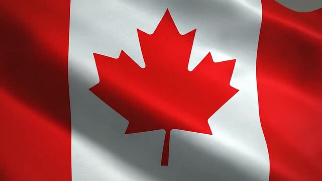 A waving flag with a red maple leaf in the center, representing a generic nation symbol