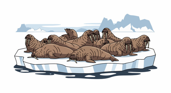 A herd of walruses rests on a floating ice floe under icy mountains